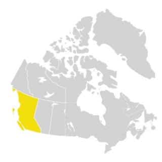 Canada invasive range of tamarisk