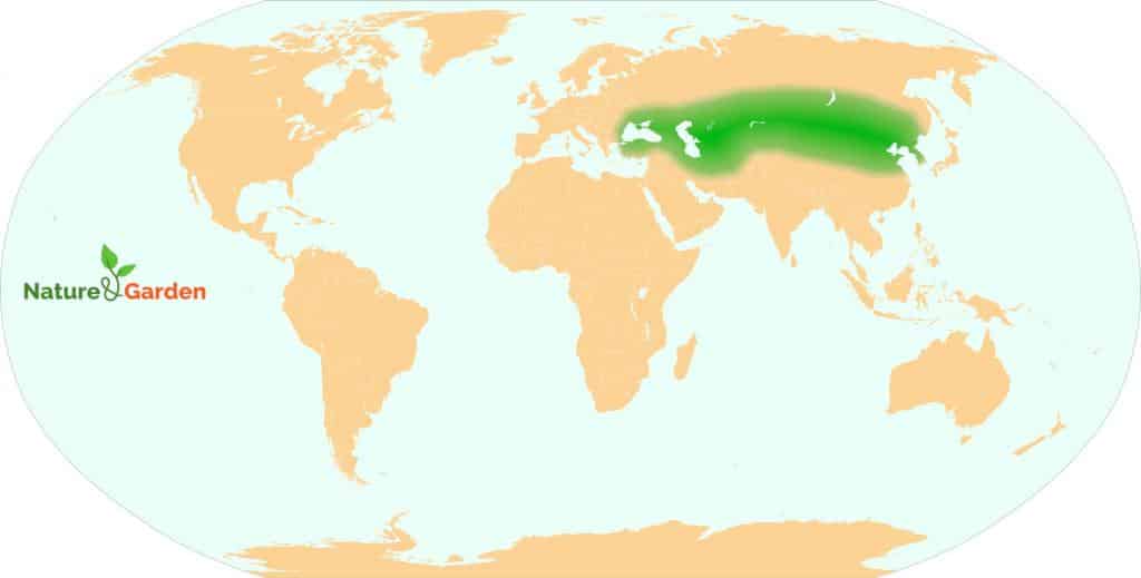 Native range of tamarix ramosissima, saltcedar