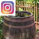 Picture related to Collecting rainwater overlaid with the Instagram logo.
