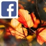 Picture related to Dead leaves in the garden overlaid with the Facebook logo.