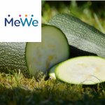 Picture related to Zucchini growing overlaid with the MeWe logo.