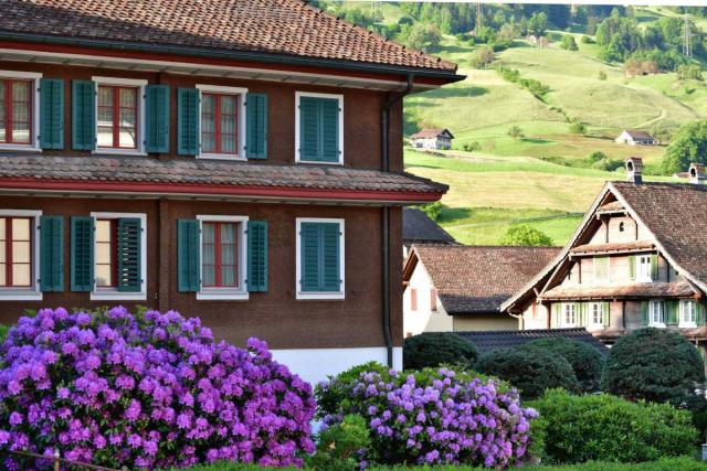 Mixed hedge in a mountain village