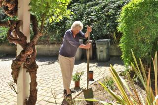 Diligently split clumps of perennials and plants to have more next year