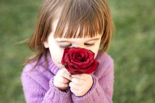 Child sniffing a fragrant rose around the house