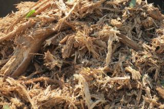 Mulch from wood shreds