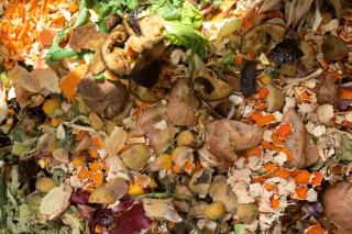 Compost that is well balanced with one-fourth of lawn grass