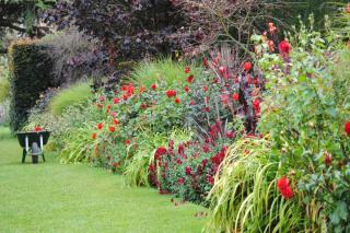 Making a flower bed