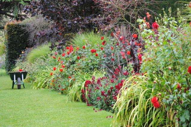 Making a flower bed