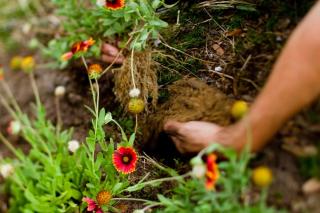 Identify soil type - clay silt sand loam