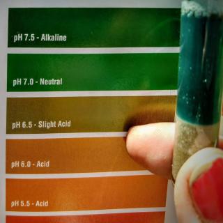 pH testing with tubes