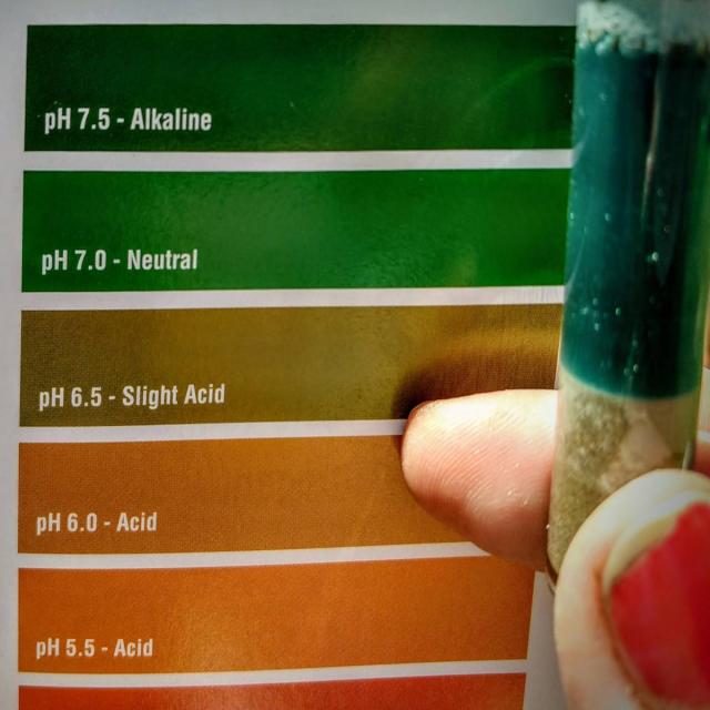 pH testing with tubes