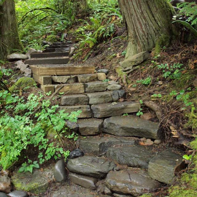 Stairways and walkways in a garden with a steep slope