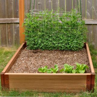 Square-foot gardening bed