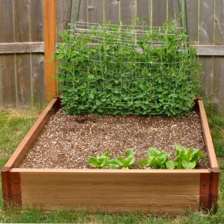 Square-foot gardening bed