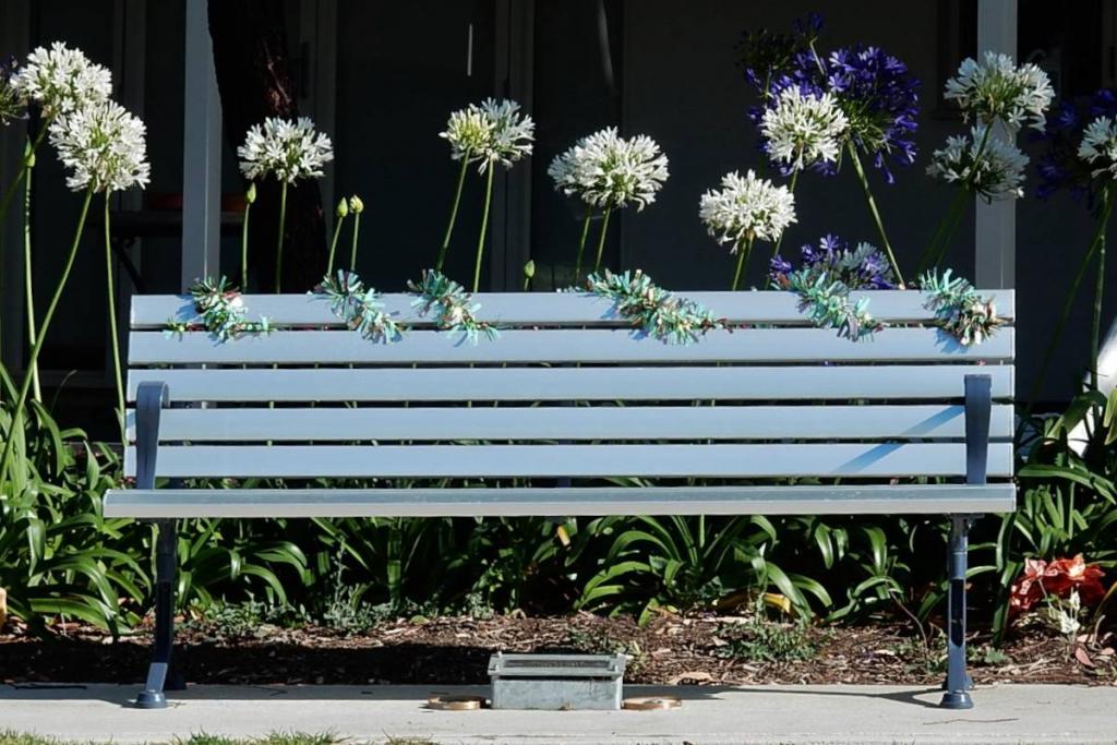Summer flowers that are magnificent bloomers