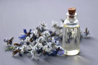 Borage oil benefits