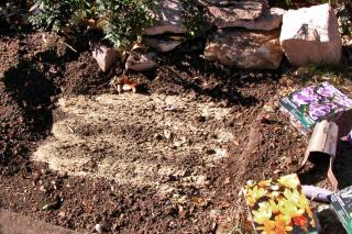 Horn meal, crushed, in a growing bed