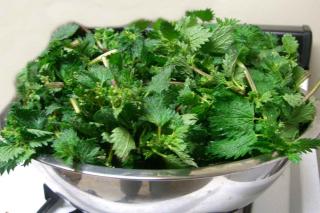 Nettle tea is an excellent versatile natural fertilizer