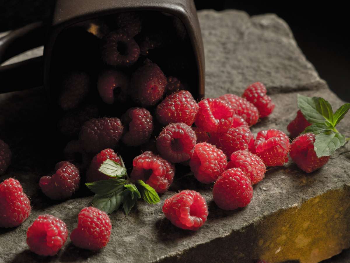 Health benefits raspberry