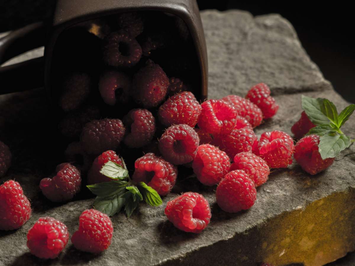 Health benefits raspberry