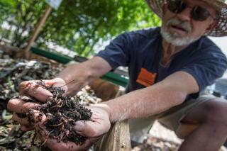 Presenting vermicompost