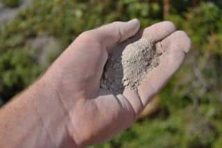 Another excellent organic fertilizer is wood ash