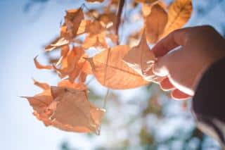 Sensory garden with touch