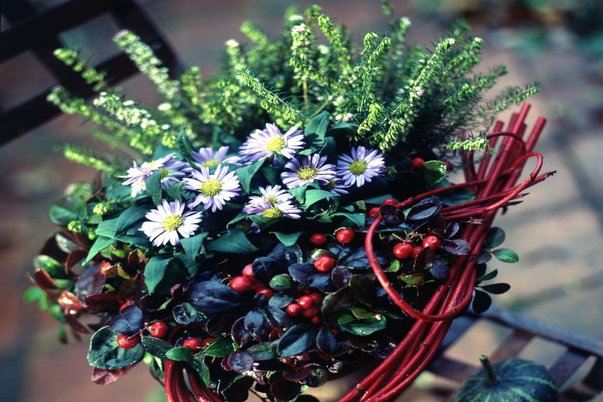 Inspirational ideas for garden boxes in winter