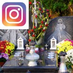 Picture related to Chrysanthemums on All Saint's Day overlaid with the Instagram logo.