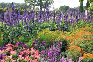 Easy flower bed