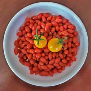 Goji berries, fresh, in a bowl