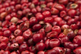 Goji berries drying up