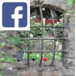 Picture related to Small gardens overlaid with the Facebook logo.