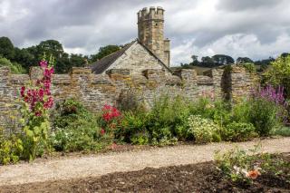 Mixed border for full sun and others for full shade