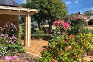 Front door garden with walkways