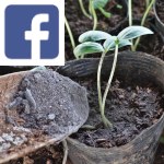 Picture related to Ashes in the garden overlaid with the Facebook logo.
