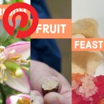 Picture related to Finger lime overlaid with the Pinterest logo.