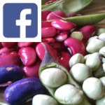 Picture related to Legume family uses overlaid with the Facebook logo.