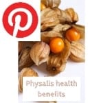 Picture related to Physalis health benefits overlaid with the Pinterest logo.