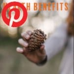 Picture related to Pine health benefits overlaid with the Pinterest logo.