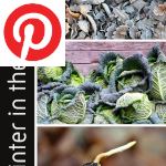 Picture related to Winter garden tasks overlaid with the Pinterest logo.