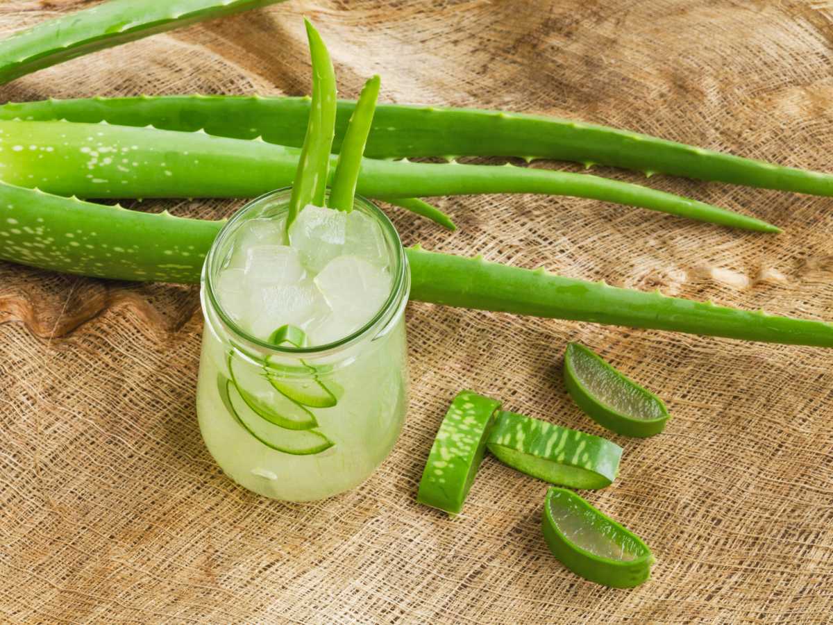 Aloe vera health benefits