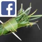 Picture related to Bouquet garni overlaid with the Facebook logo.