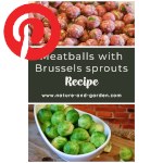 Picture related to Brussels sprouts overlaid with the Pinterest logo.