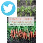 Picture related to Carrot overlaid with the Twitter logo.