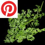 Picture related to Chervil overlaid with the Pinterest logo.