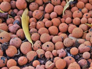 Cleaning leca pebbles