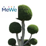 Picture related to Cloud pruning overlaid with the MeWe logo.