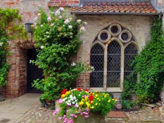 courtyard plant ideas