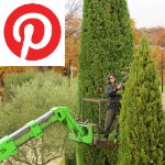 Picture related to Cypress overlaid with the Pinterest logo.